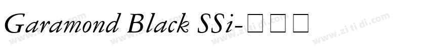 Garamond Black SSi字体转换